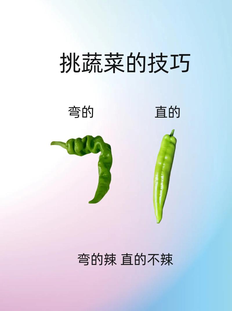 蔬菜挑选小窍门：让你成为选菜达人
