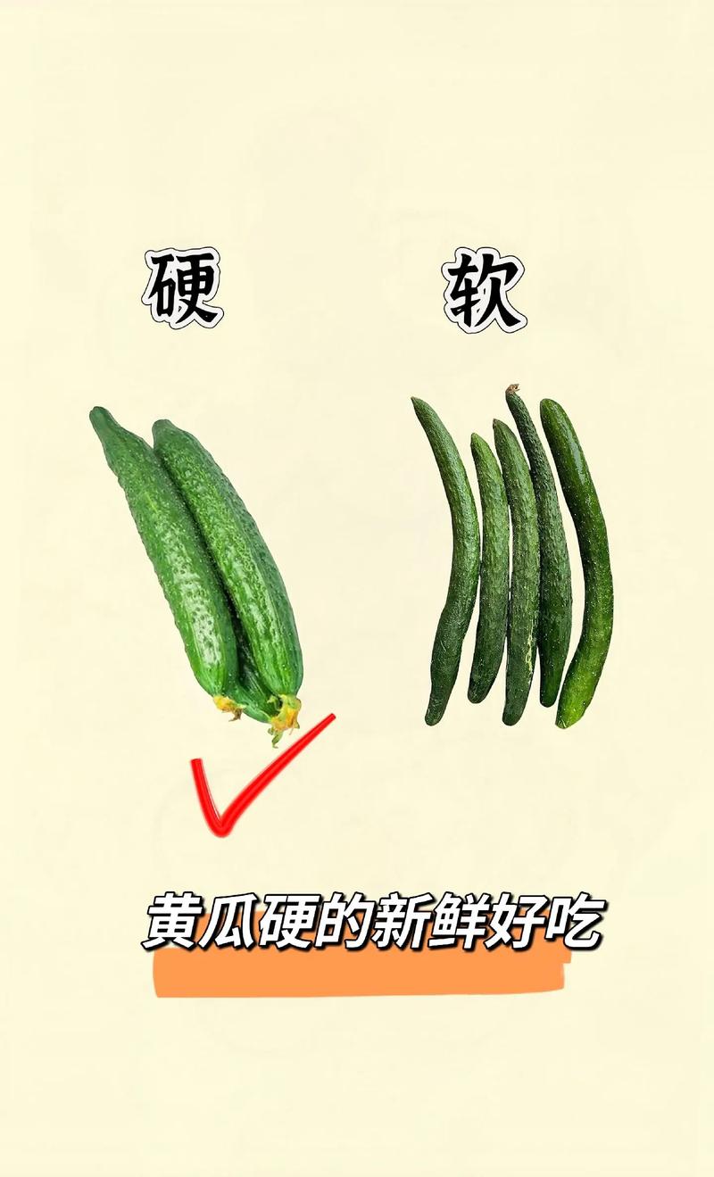 蔬菜挑选秘籍：让你轻松选到优质菜