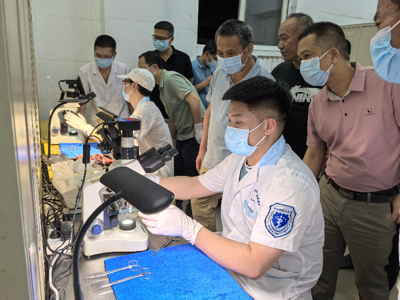 万江举办生猪屠宰检疫实操培训 夯实基层队伍建设根基