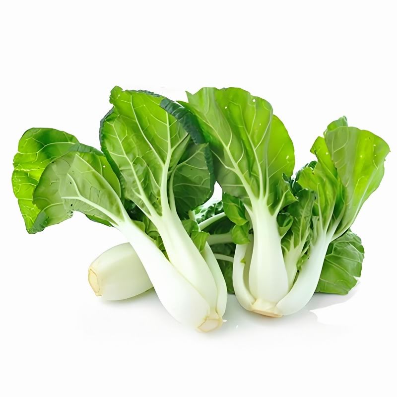 蔬菜配送：满足多元需求的行业新势力