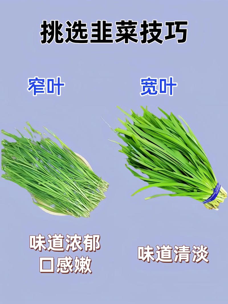 蔬菜挑选小妙招：让你成为选菜达人