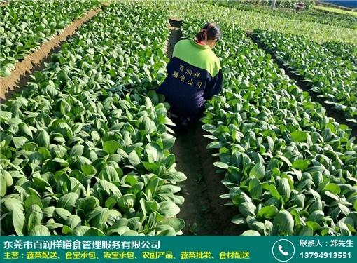 广东东莞深圳工业园蔬菜配送方案及优质公司探寻