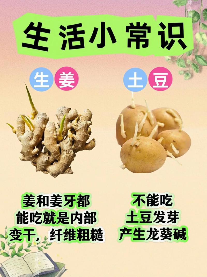 这些发芽蔬菜不能吃，你知道吗？