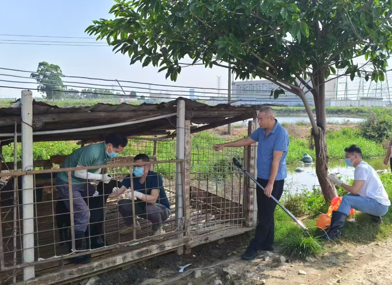 沙田启动春季动物集中免疫抗体监测工作