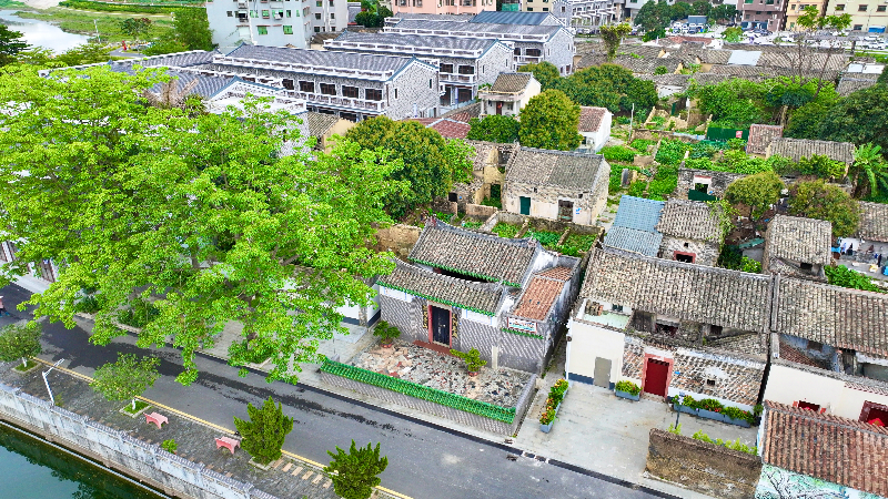 “百千万工程”聚焦凤凰岗：乡村迎来“治理合伙人”