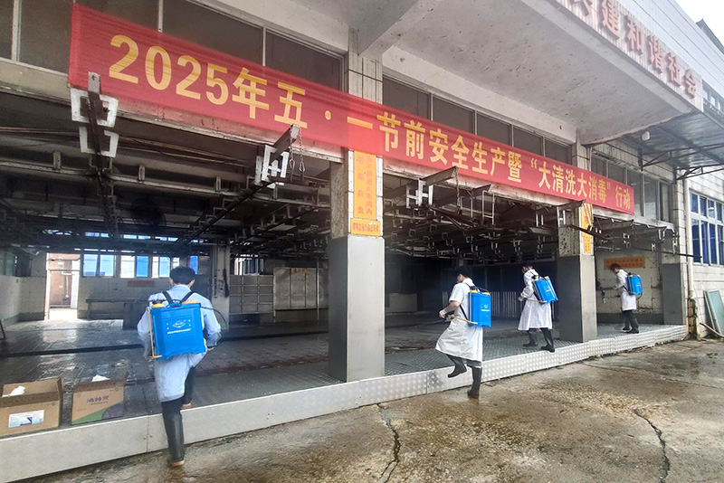 虎门屠宰企业开展大规模消毒灭源行动