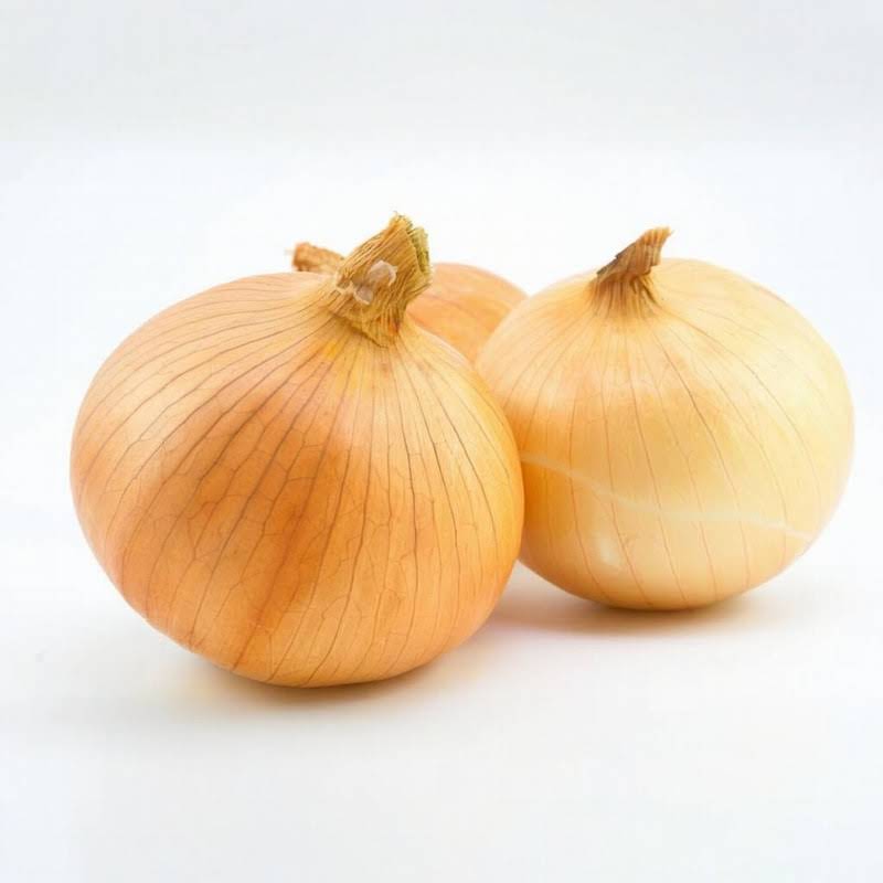 (2024-10-19)全市菜篮子平均零售价