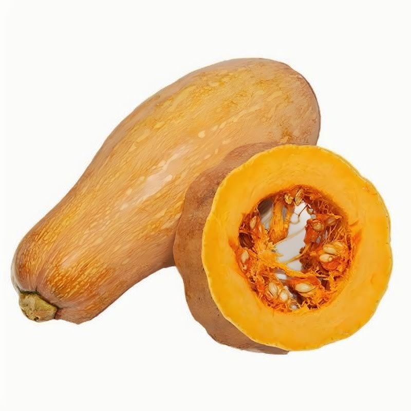 携手优质食材配送，共筑学校饮食新保障