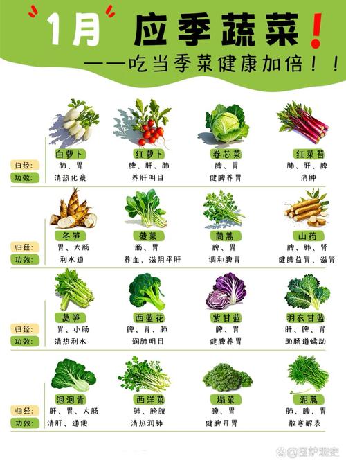 1月应季蔬菜：健康营养与功效全解析