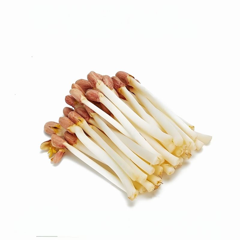 蔬菜配送公司的财务视角：成本、供应链与发展策略