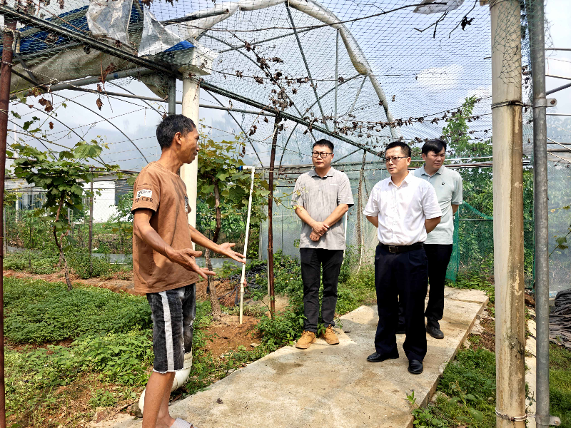 道滘推进农产品质量安全监管督导工作