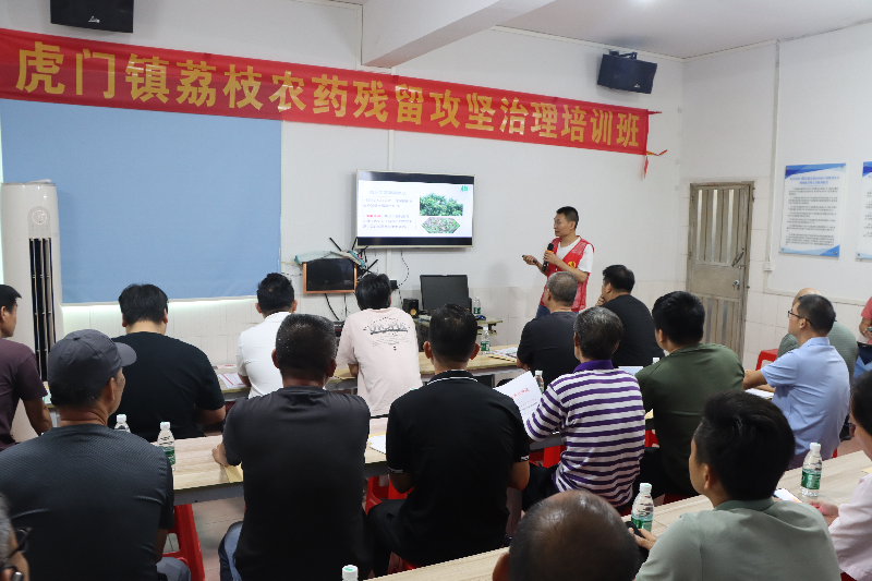 虎门召开荔枝农药残留专项整治工作会议