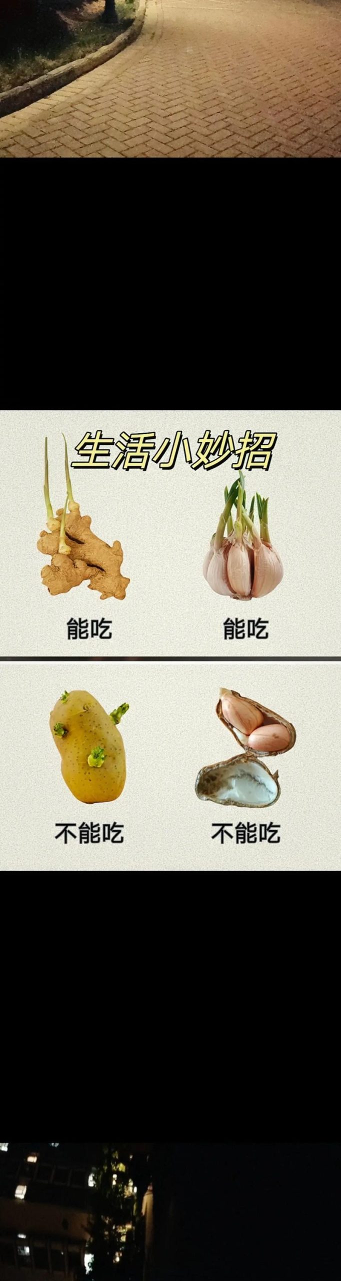 发芽蔬菜食用指南：这些知识你了解多少？