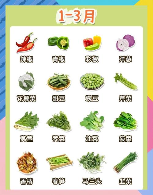 12个月时令蔬菜指南：宝宝健康辅食优选