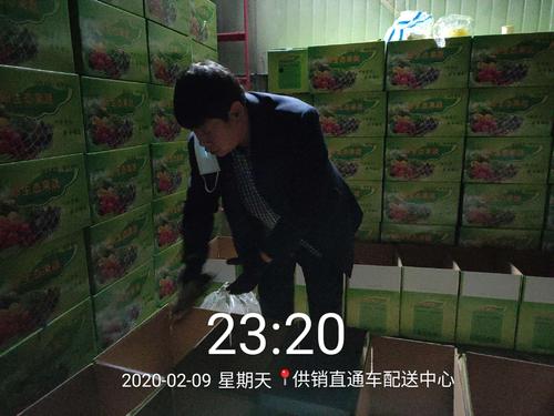 抗疫中的蔬菜保障行动：昼夜坚守与担当