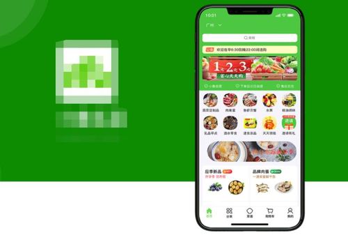 蔬菜配送APP开发：成本与市场机遇