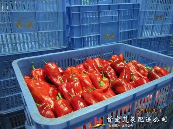 揭秘水果与蔬菜配送行业：新鲜直达的背后